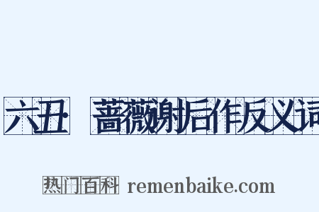 六丑·蔷薇谢后作反义词是什么意思的图片